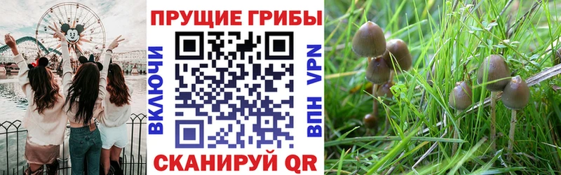 Галлюциногенные грибы прущие грибы  гидра вход  Верхнеуральск 
